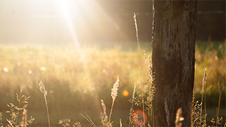 不封号的网站攻击测试