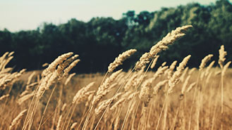 支付宝微信都收的DDOS压力测试网页端