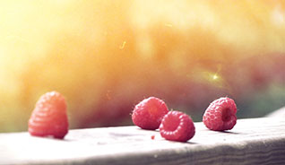 高效办公软件的DDOS压力测试网页端